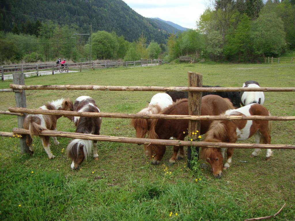 Winnewieser Vandoies Esterno foto