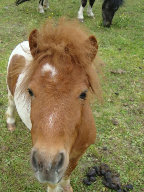 Winnewieser Vandoies Esterno foto