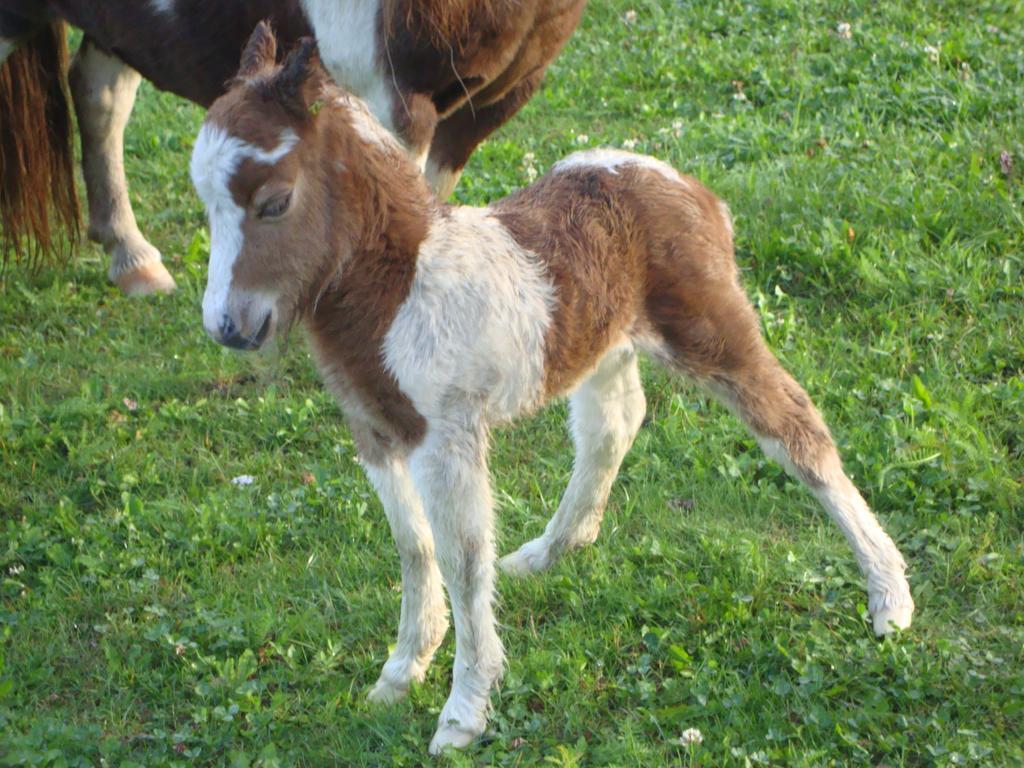 Winnewieser Vandoies Esterno foto