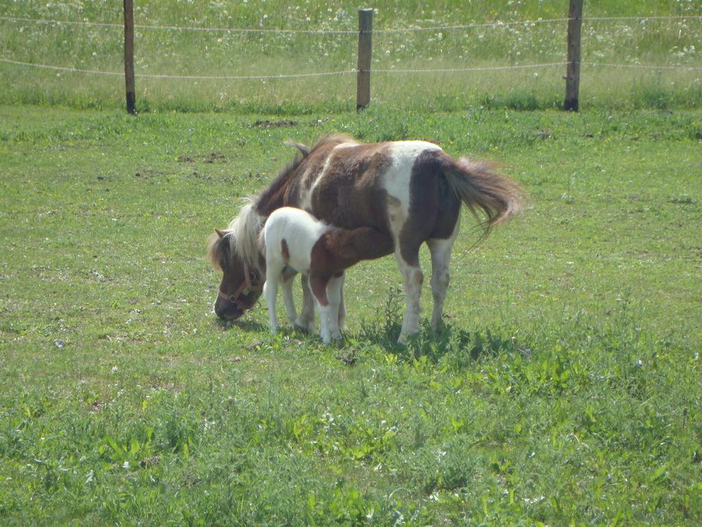 Winnewieser Vandoies Esterno foto