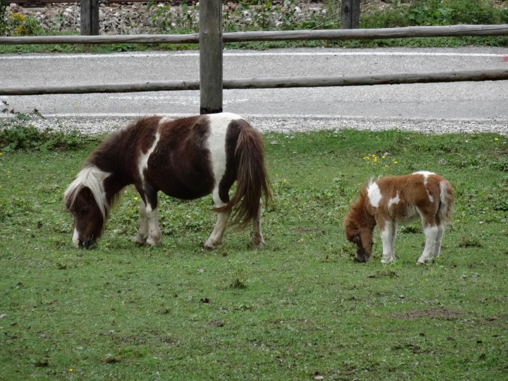 Winnewieser Vandoies Esterno foto