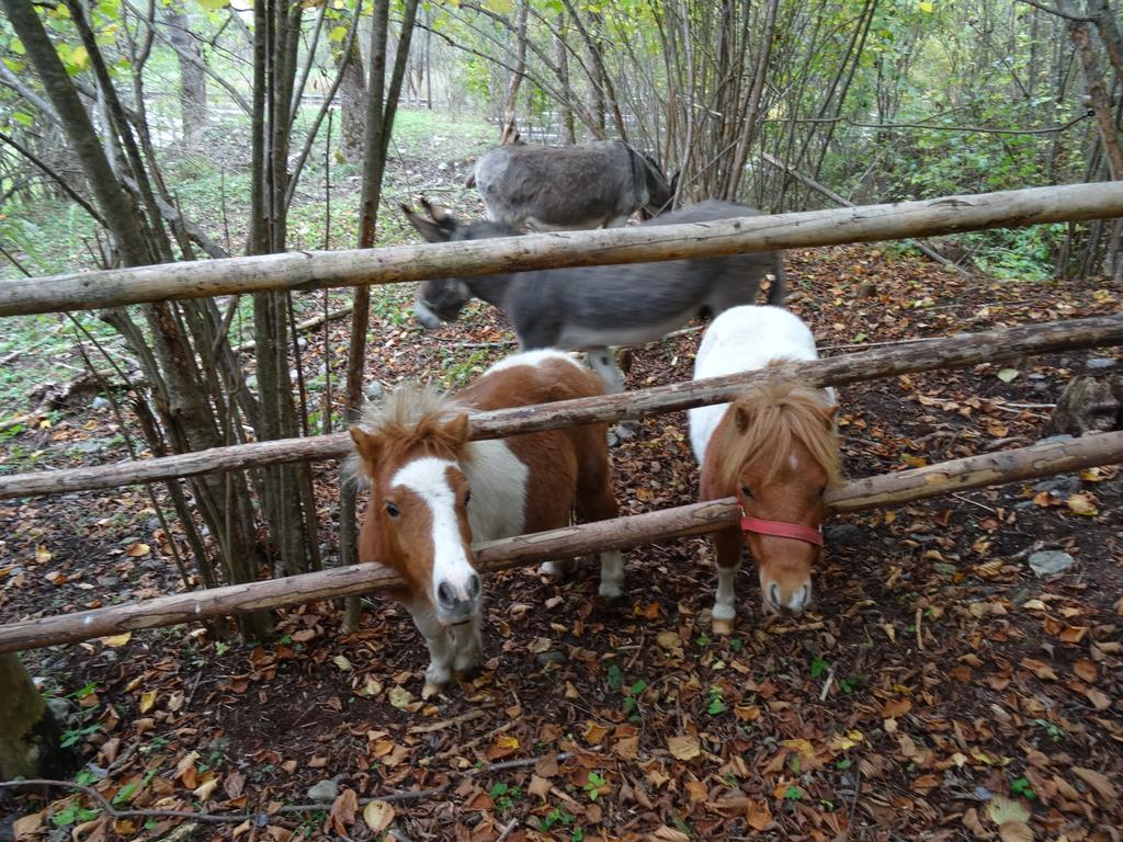 Winnewieser Vandoies Esterno foto